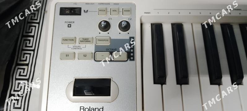 Roland - Çärjew - img 3