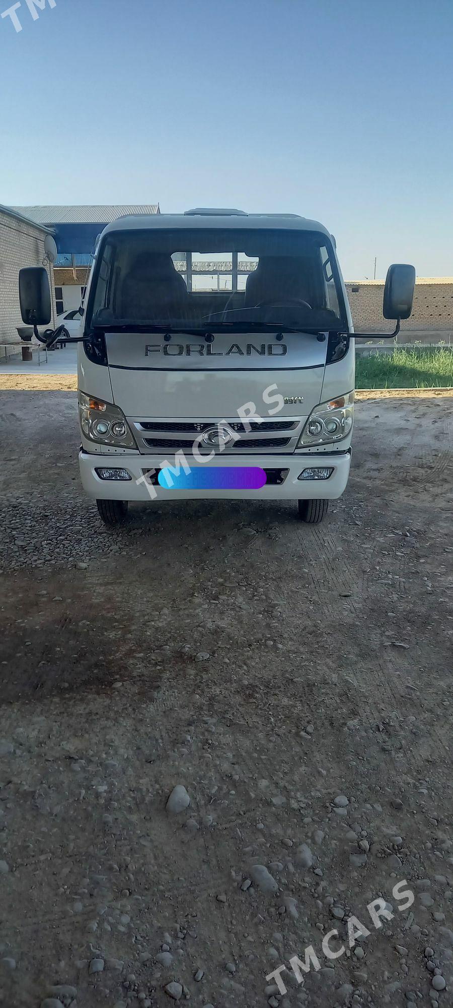 Forland H2 2014 - 135 000 TMT - Мары - img 5