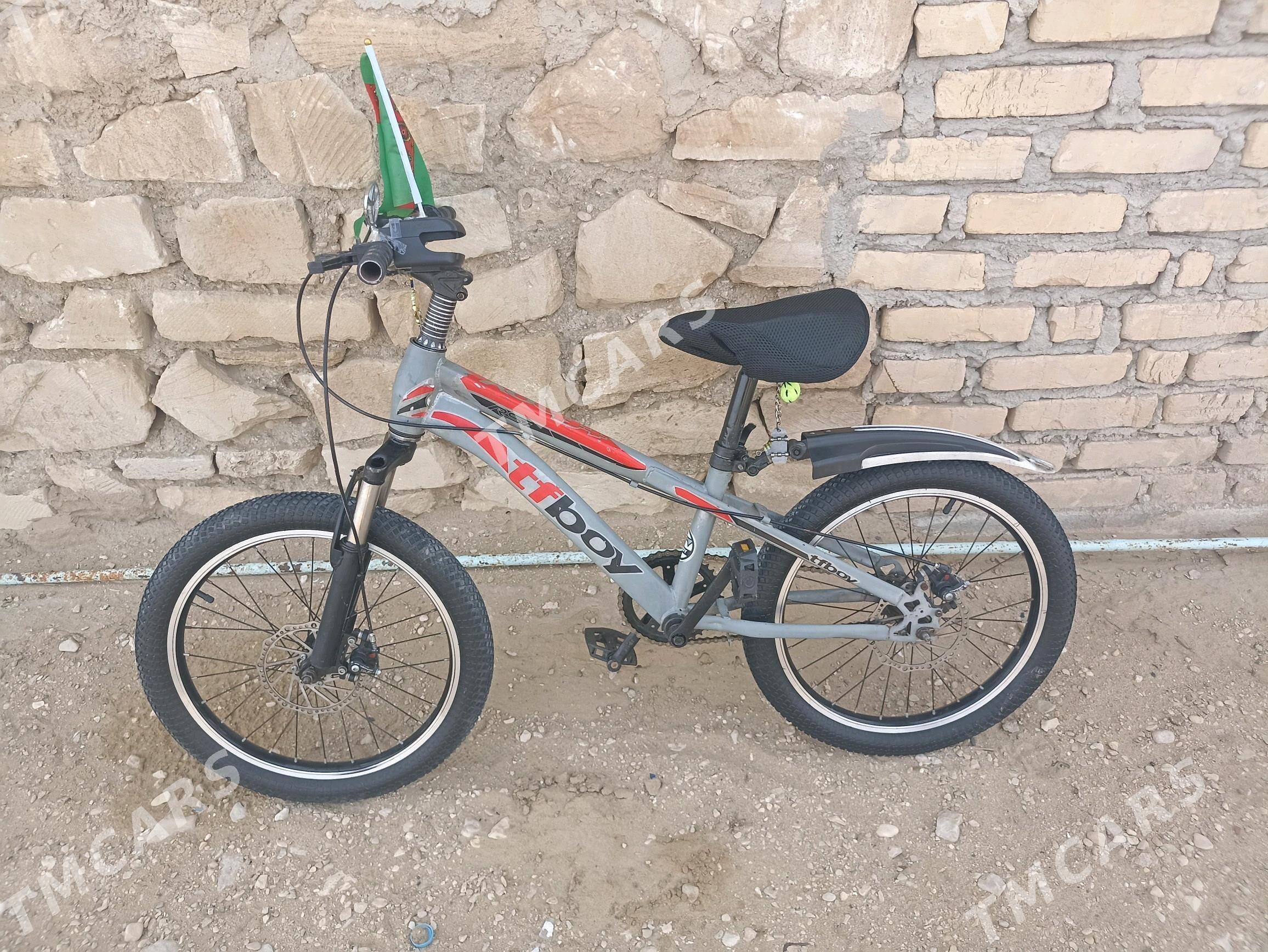 tigir - Balkanabat - img 2
