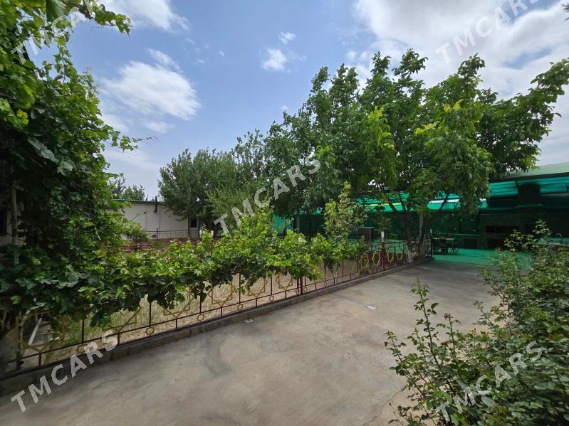 Bagyr Dasgala Багир - Bagyr - img 3
