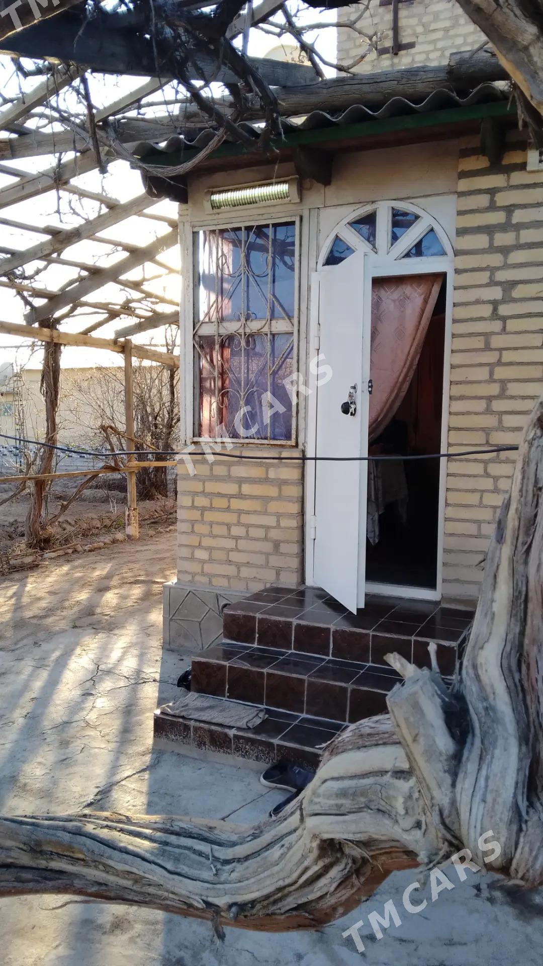 Продаю дачу с обменом карамянц - Türkmenabat - img 8