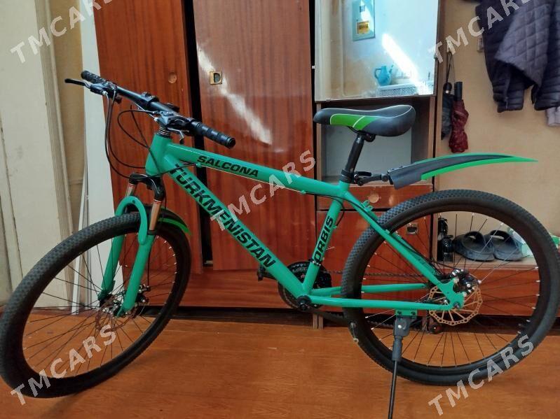 SALCONA  SPORTIWNY - Дашогуз - img 5