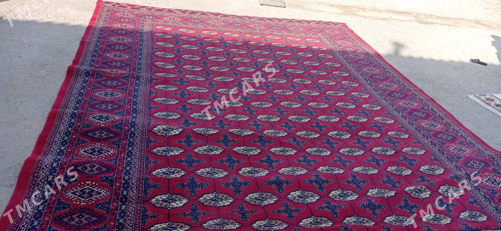 haly - Aşgabat - img 2