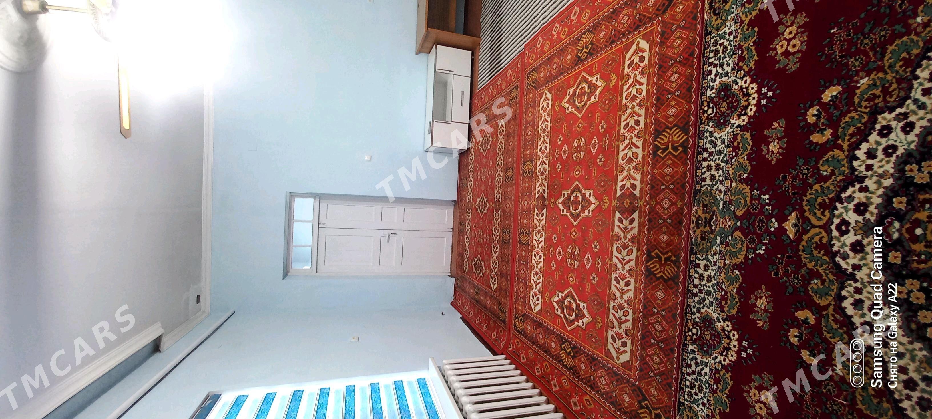 Kreyine jay - Daşoguz - img 4