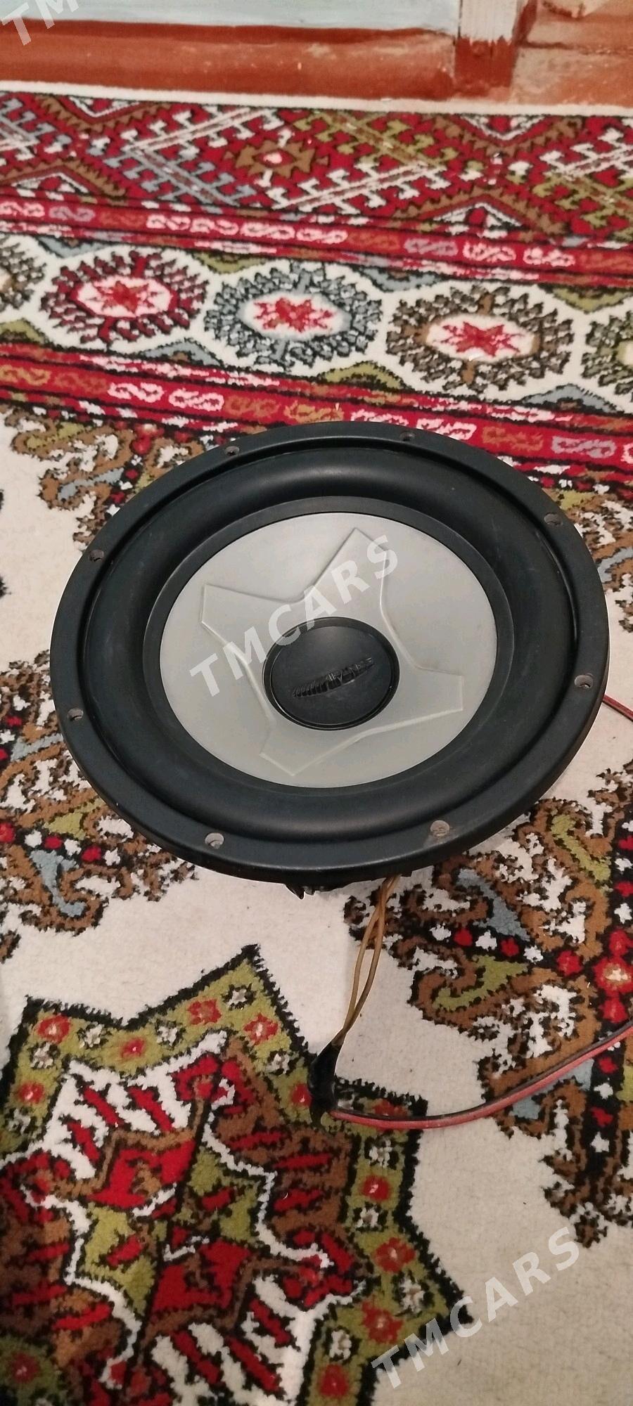 bass boçga - Ak bugdaý etraby - img 2