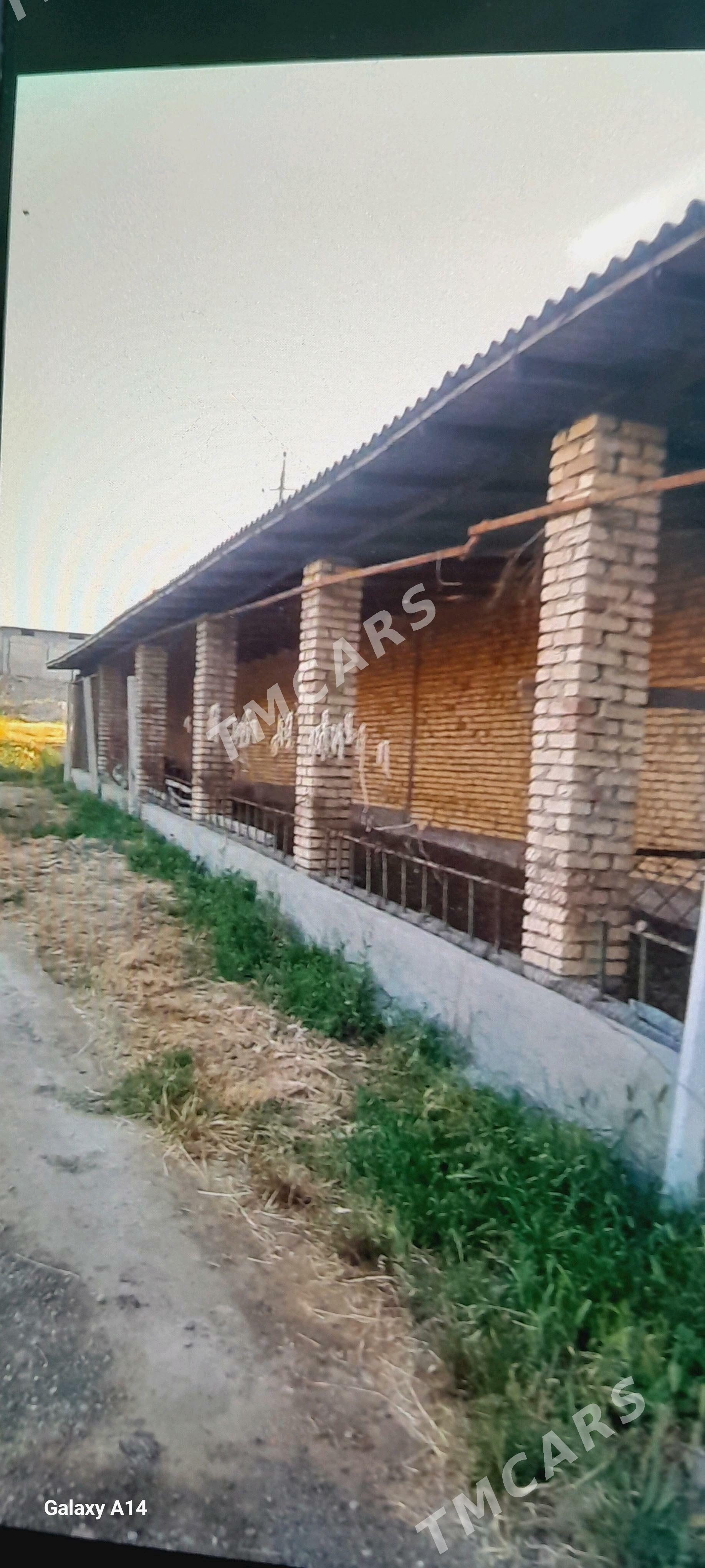 GOKDEPE 3NJI OBASY DAÇA - Гёкдепе - img 10