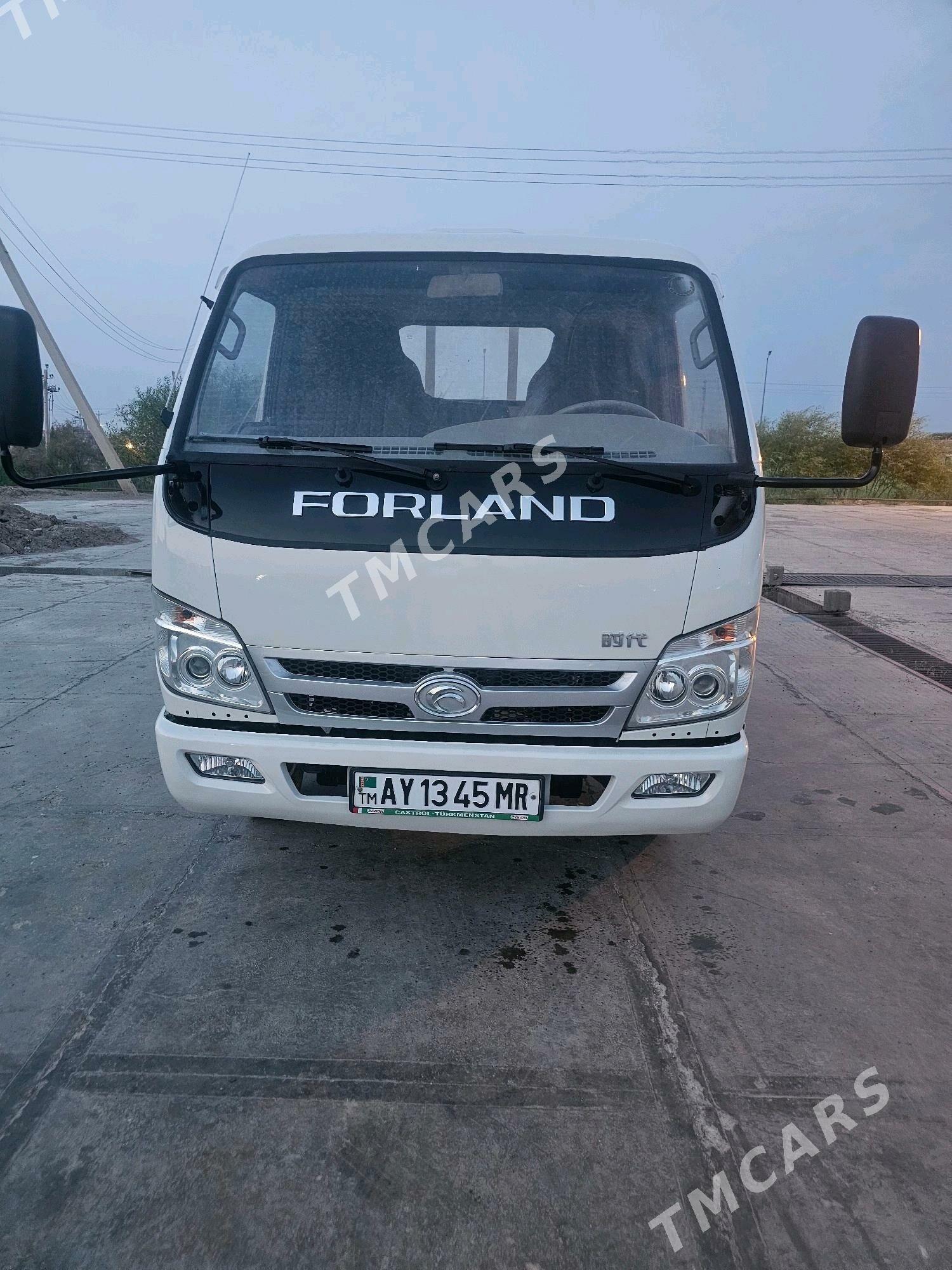 Forland H2 2014 - 135 000 TMT - Mary - img 6