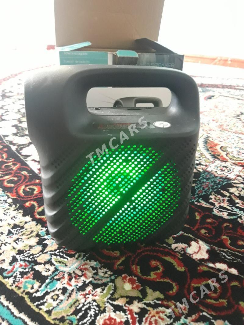 kalonka kici - Türkmenbaşy - img 2