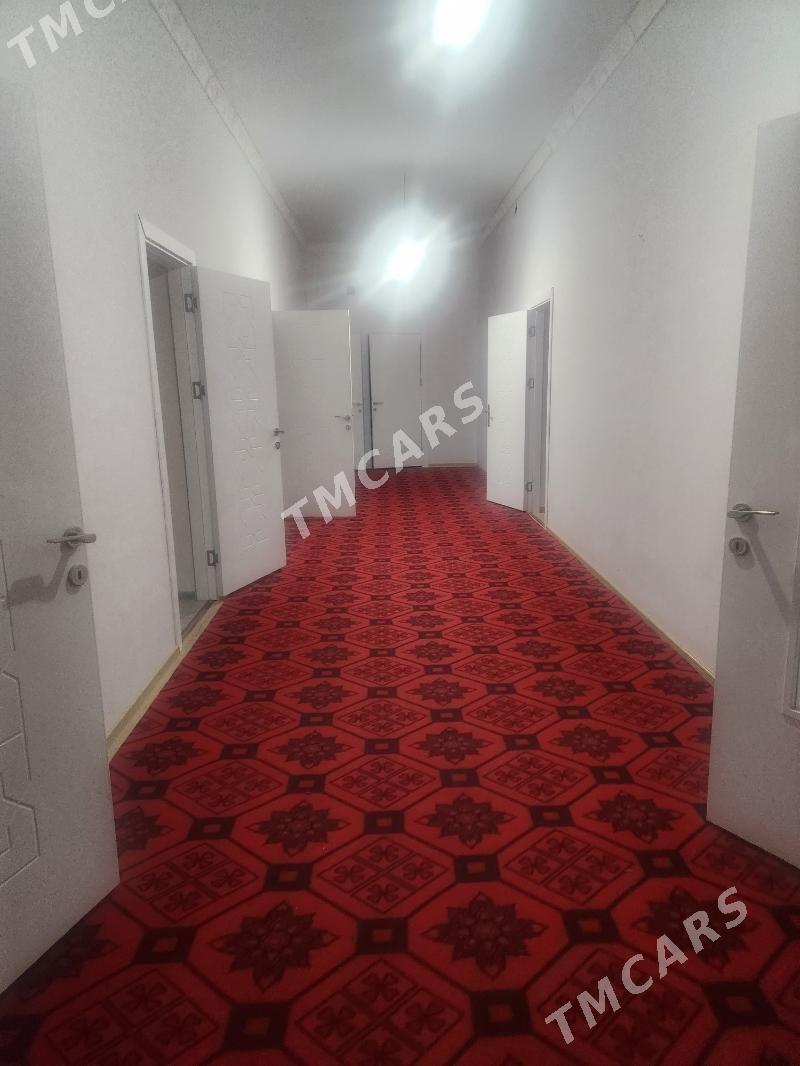 gulustan - Daşoguz - img 2