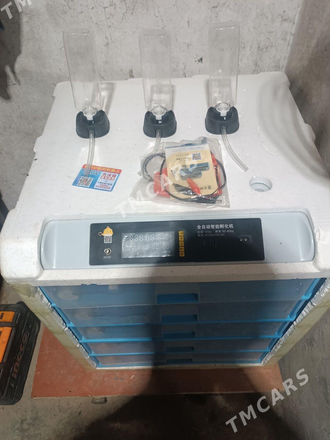 inkubator 500 lik - Änew - img 4