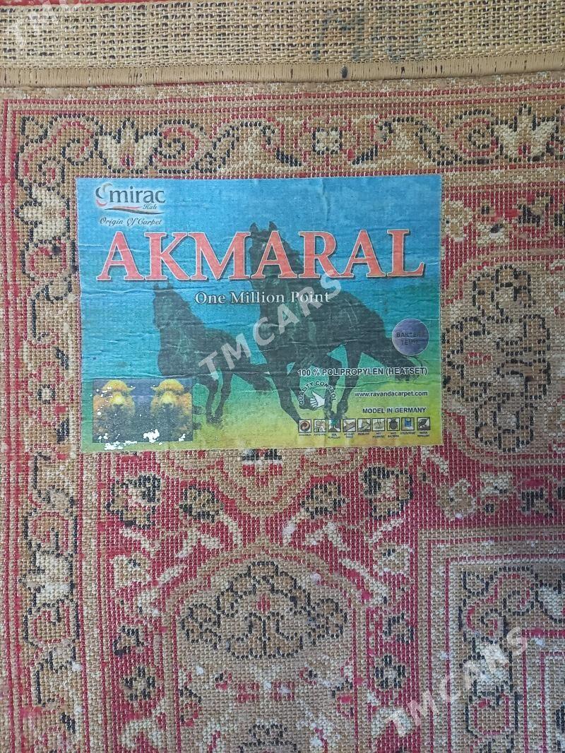 Haly - Balkanabat - img 2