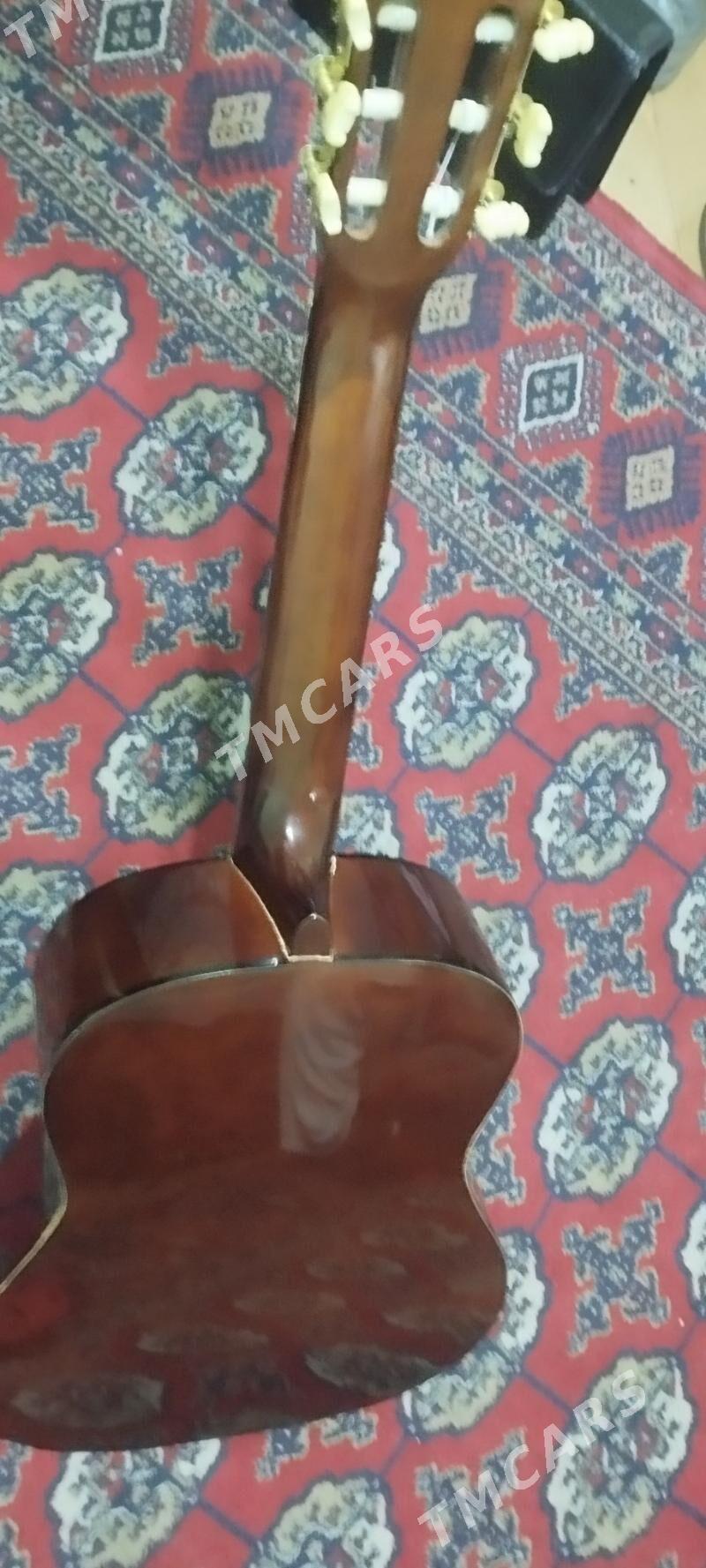 Gitara - Кëши - img 6
