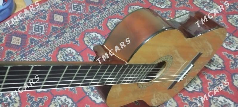 Gitara - Кëши - img 3