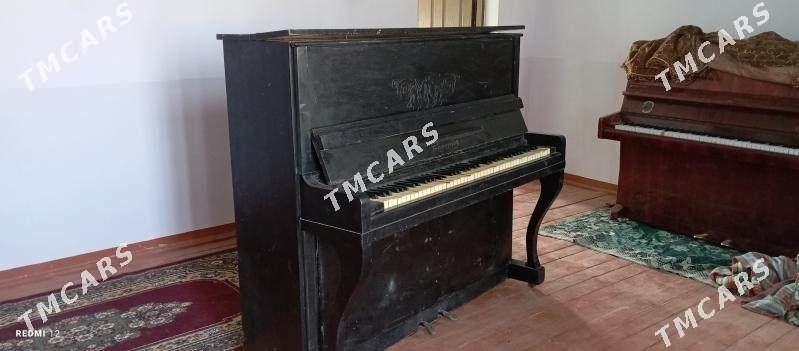 pianina - Baýramaly - img 2