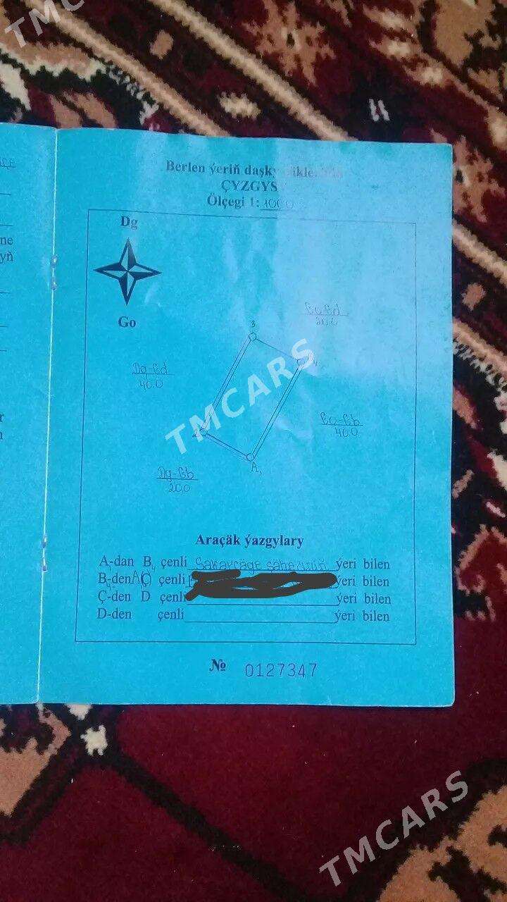 satlyk mellek - Sakarçäge - img 3
