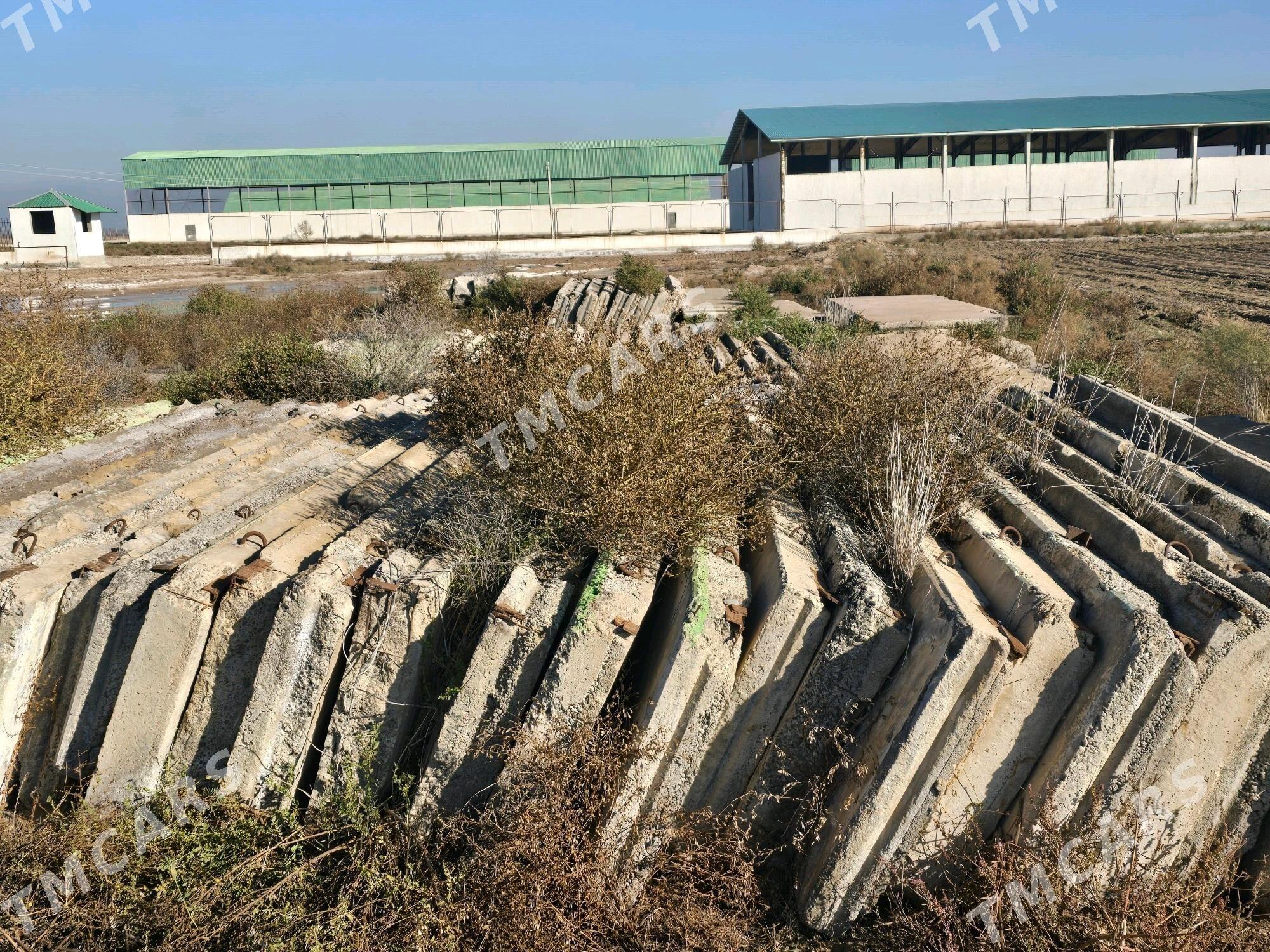 Beton Plita - Gökdepe - img 2