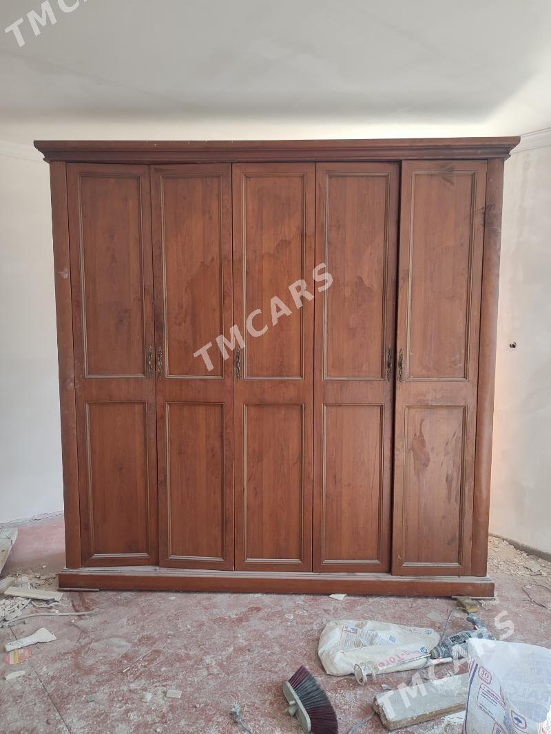 swaner - Türkmenbaşy - img 2
