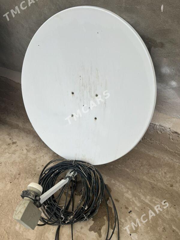 kiçi türk antena - Sakarçäge - img 3