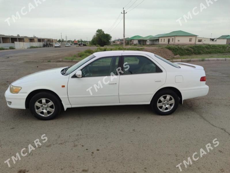 Toyota Camry 2000 - 120 000 TMT - Гурбансолтан Едже - img 5