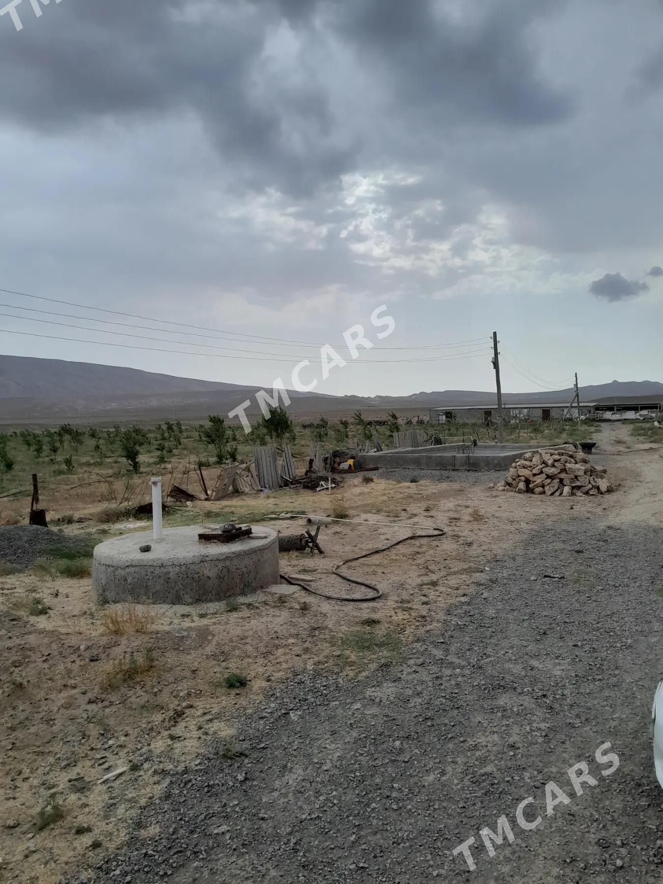 satlyk 4 gekdar ýer purnuwar - Aşgabat - img 3
