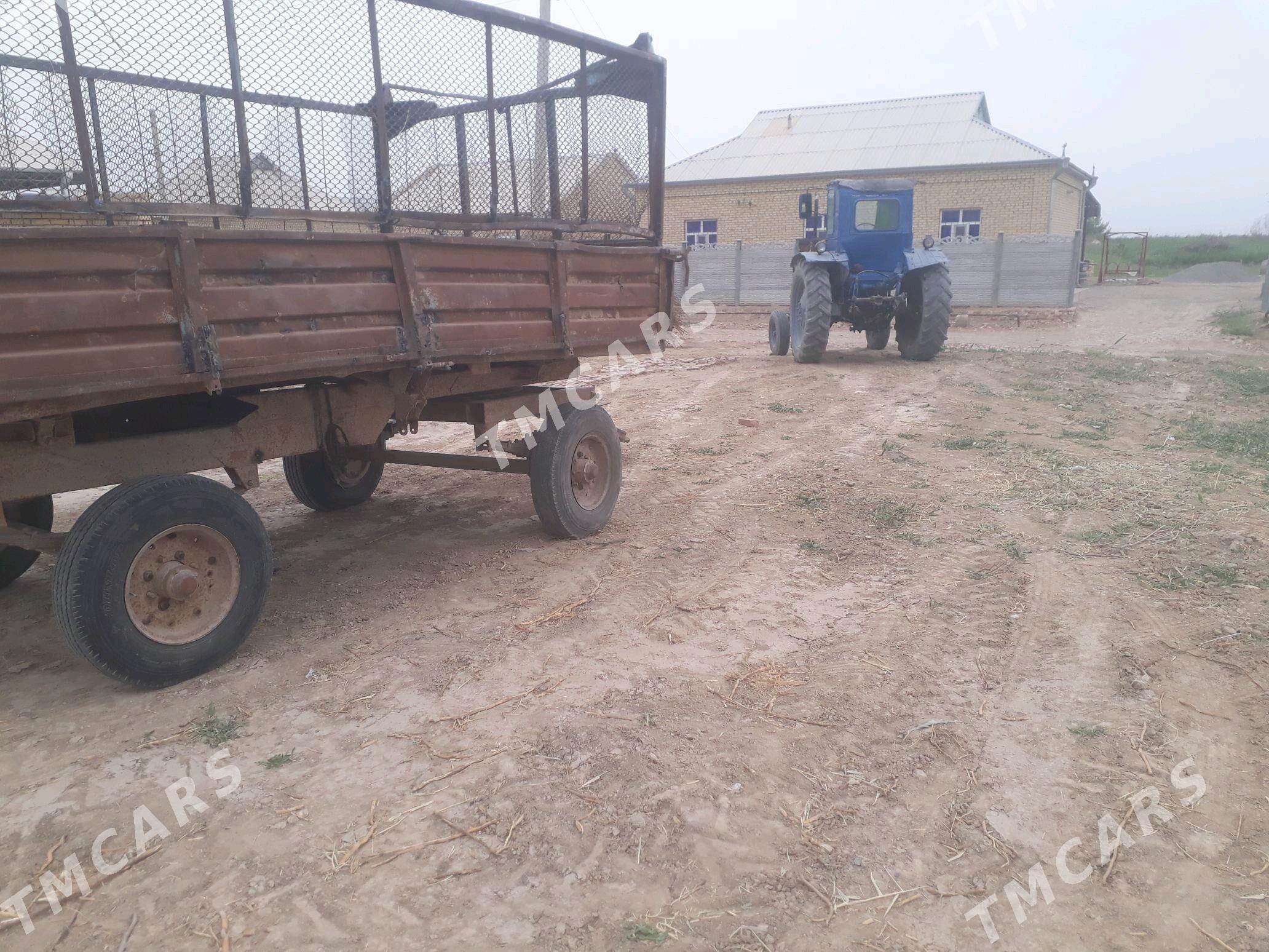 MTZ T-28 1987 - 25 000 TMT - Murgap - img 2