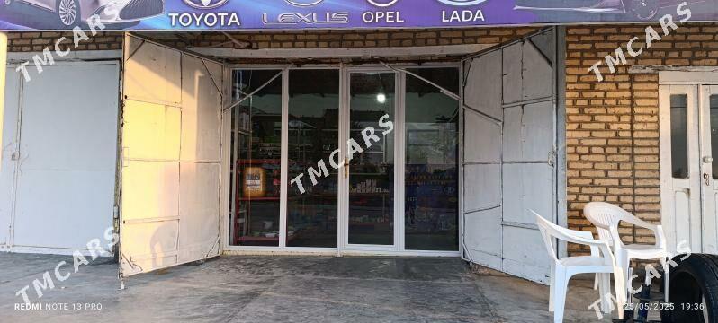 satlyk zapjas magazyn - Sakarçäge - img 4