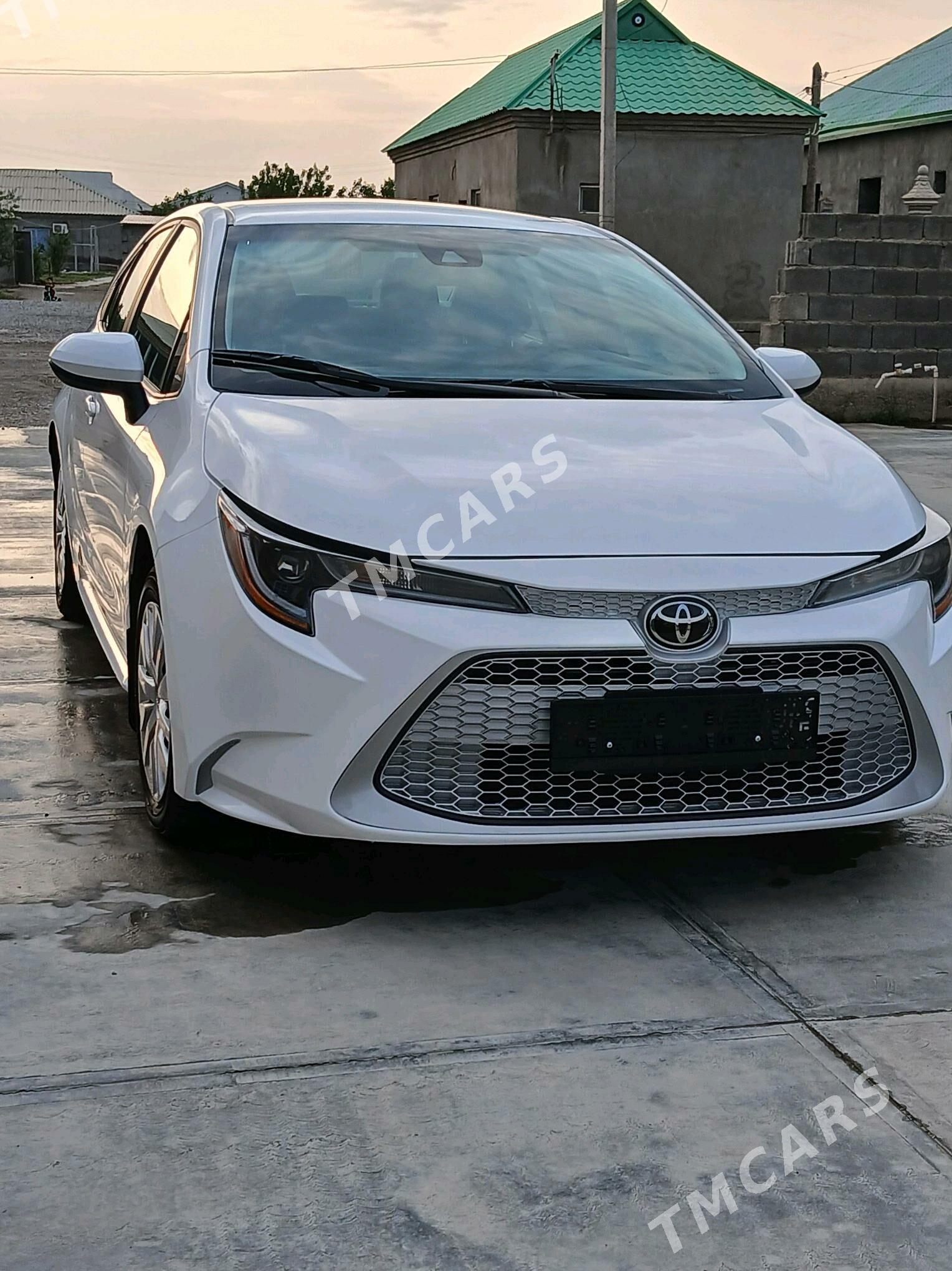 Toyota Corolla 2023 - 235 000 TMT - Gökdepe - img 3