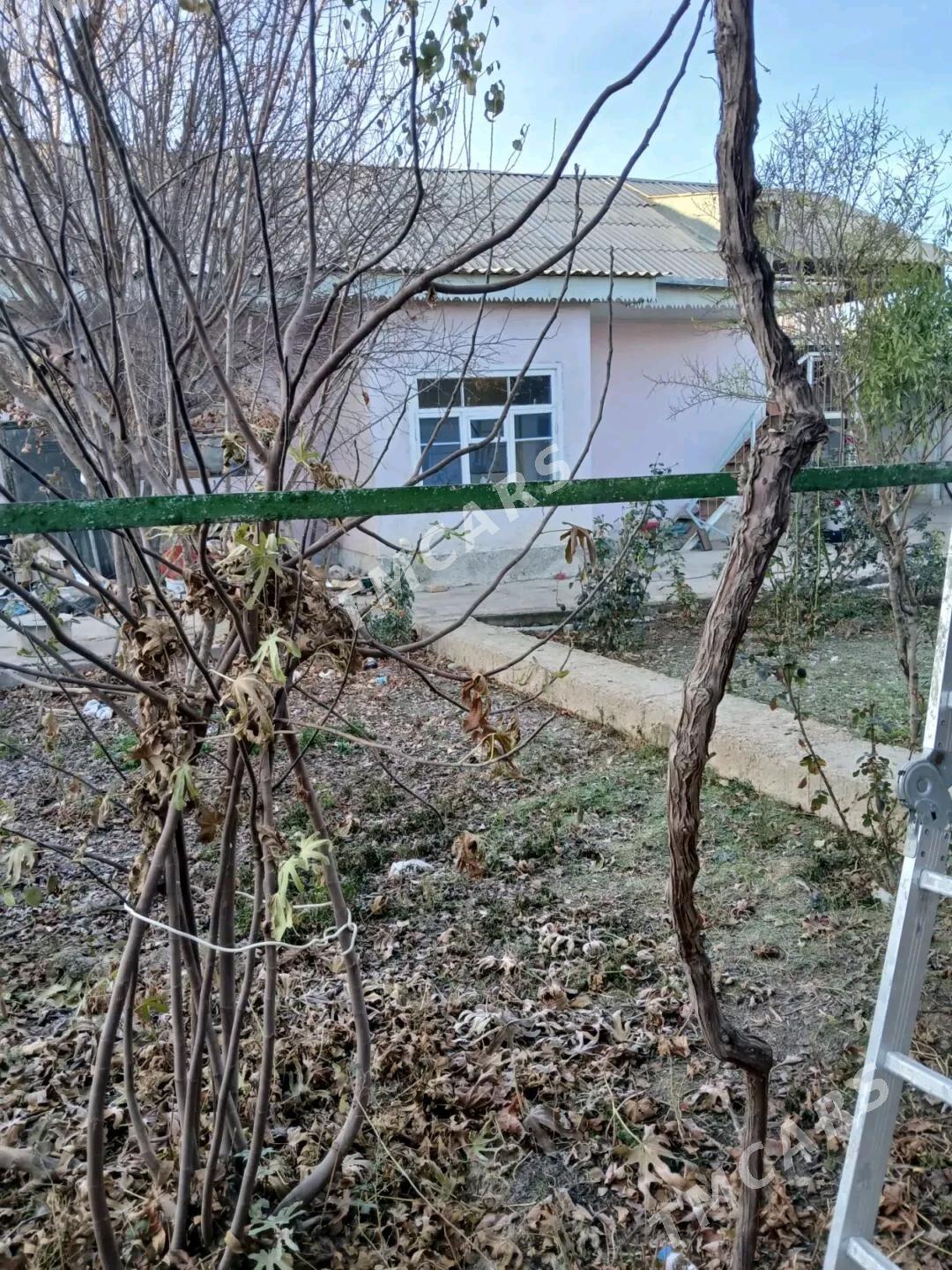 Plan jaý satlyk - Чоганлы - img 5