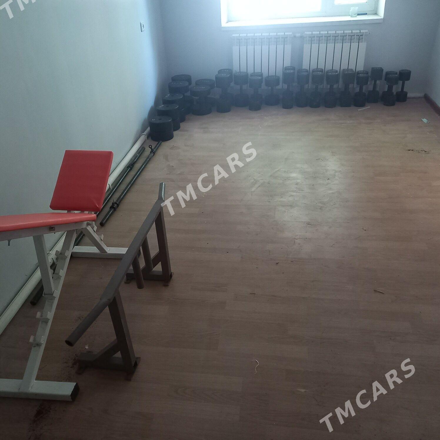 Gantel, ştanga, turnik,... - Aşgabat - img 1