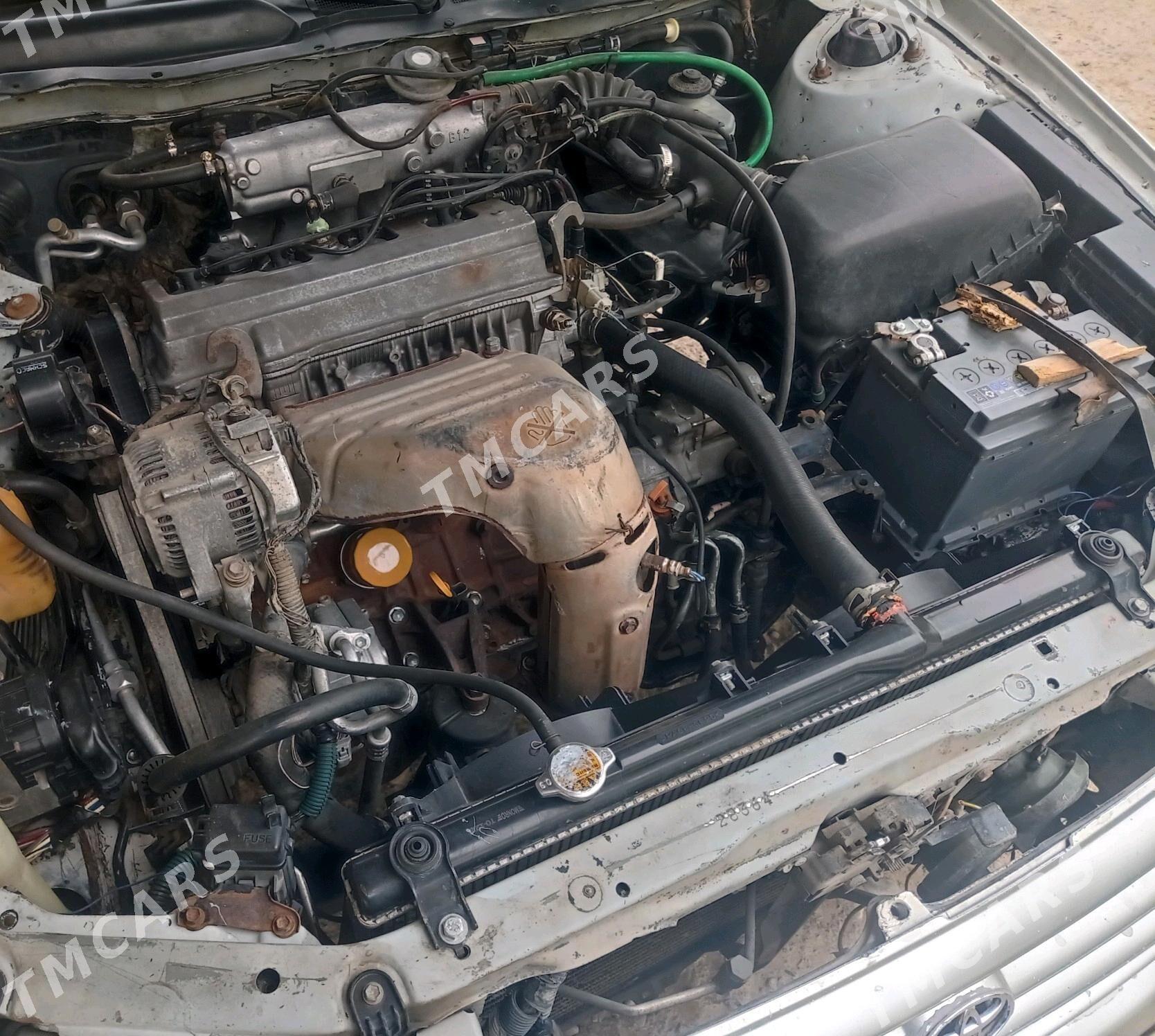 Toyota Camry 1998 - 98 000 TMT - Sakarçäge - img 3