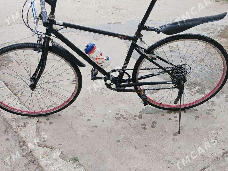 тигир - 30 mkr - img 3