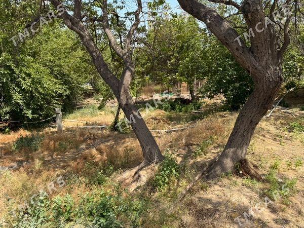 Дом общий участок 900кв - Türkmenbaşy - img 4