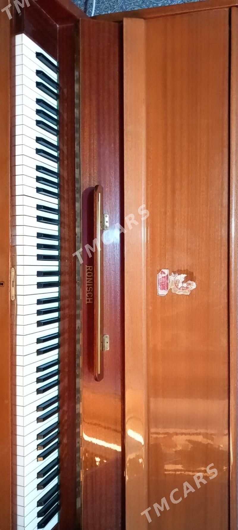 Pianino - Mary - img 4