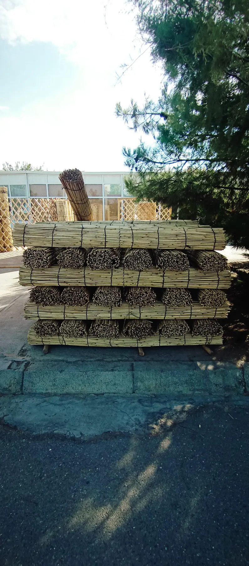 Gamyş Ak öÿ Raşotka - Aşgabat - img 3