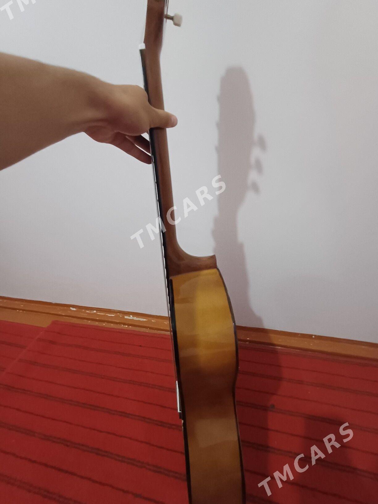 Gitara - Daşoguz - img 3