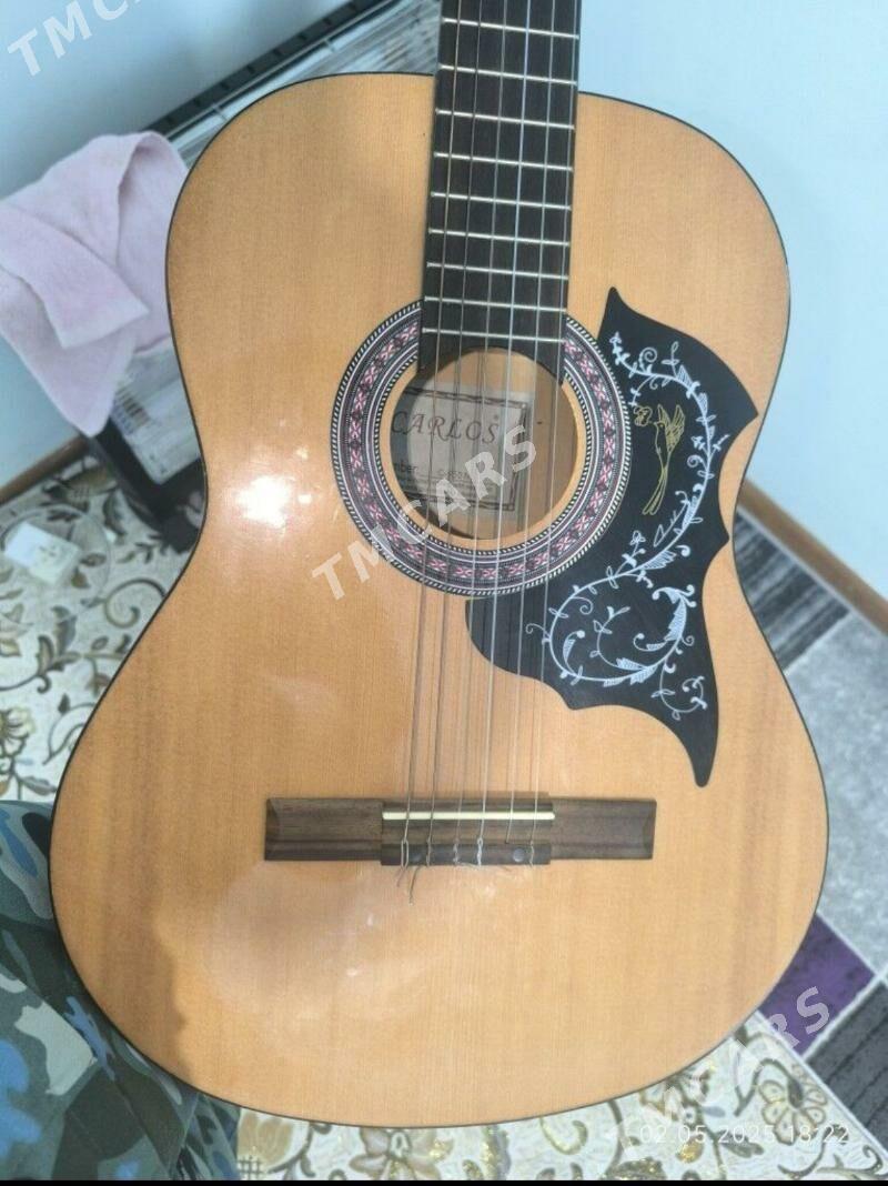 Gitara - Балканабат - img 2