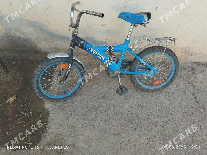 kici tigir - Ruhabat (90-njy razýezd) - img 2