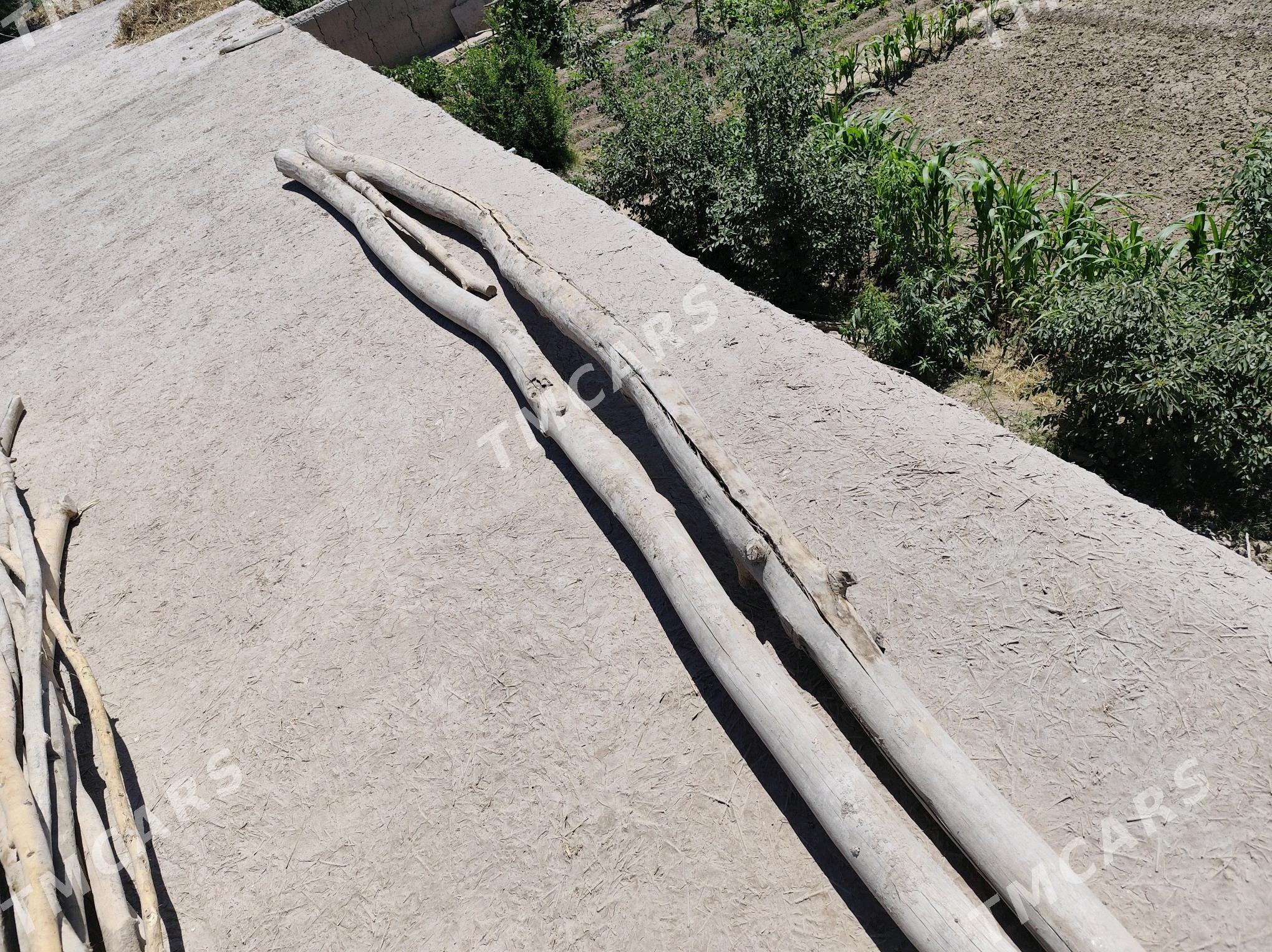 agaç - Şabat etr. - img 2