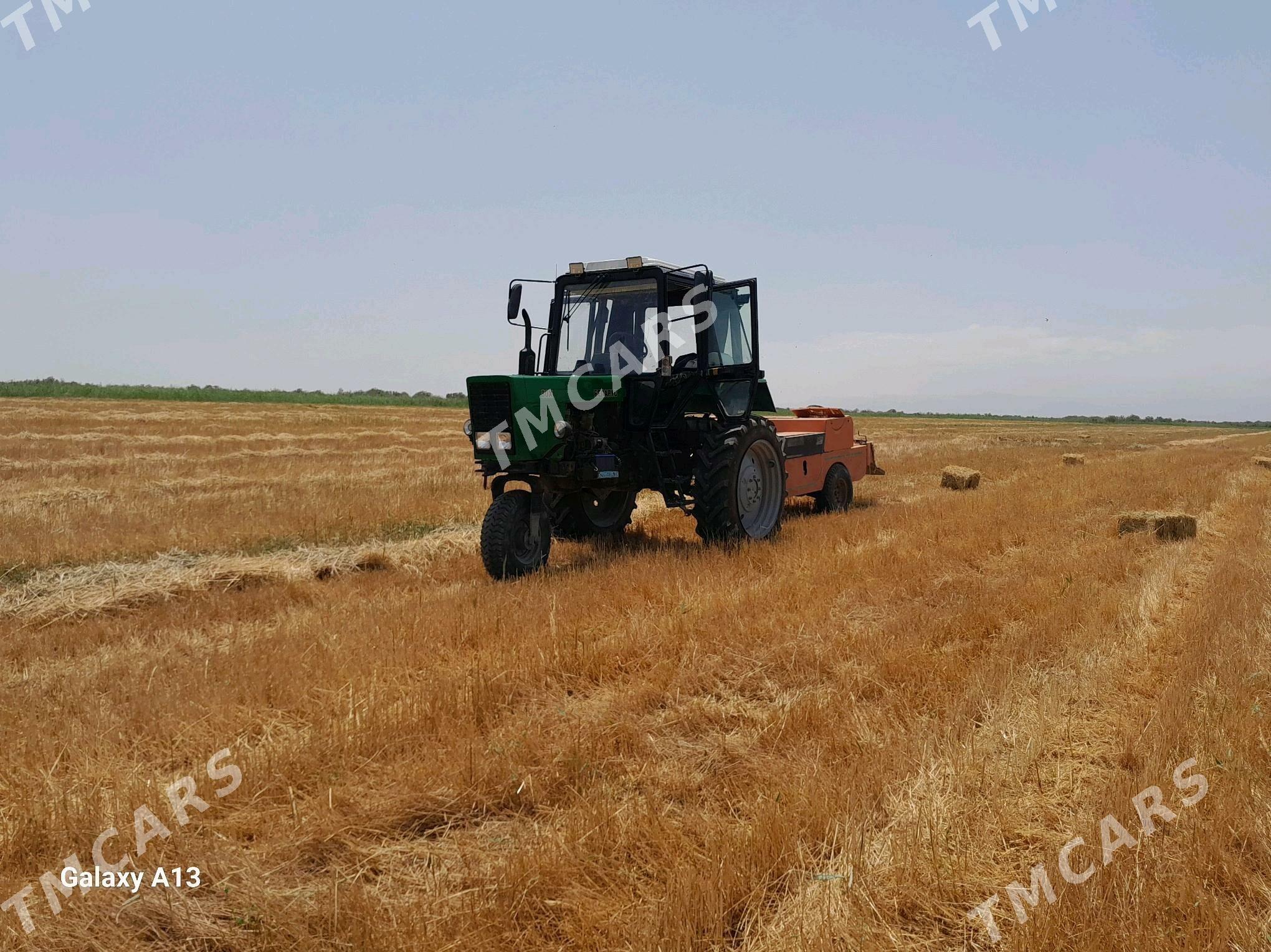 MTZ 82 2000 - 80 000 TMT - Tejen - img 2