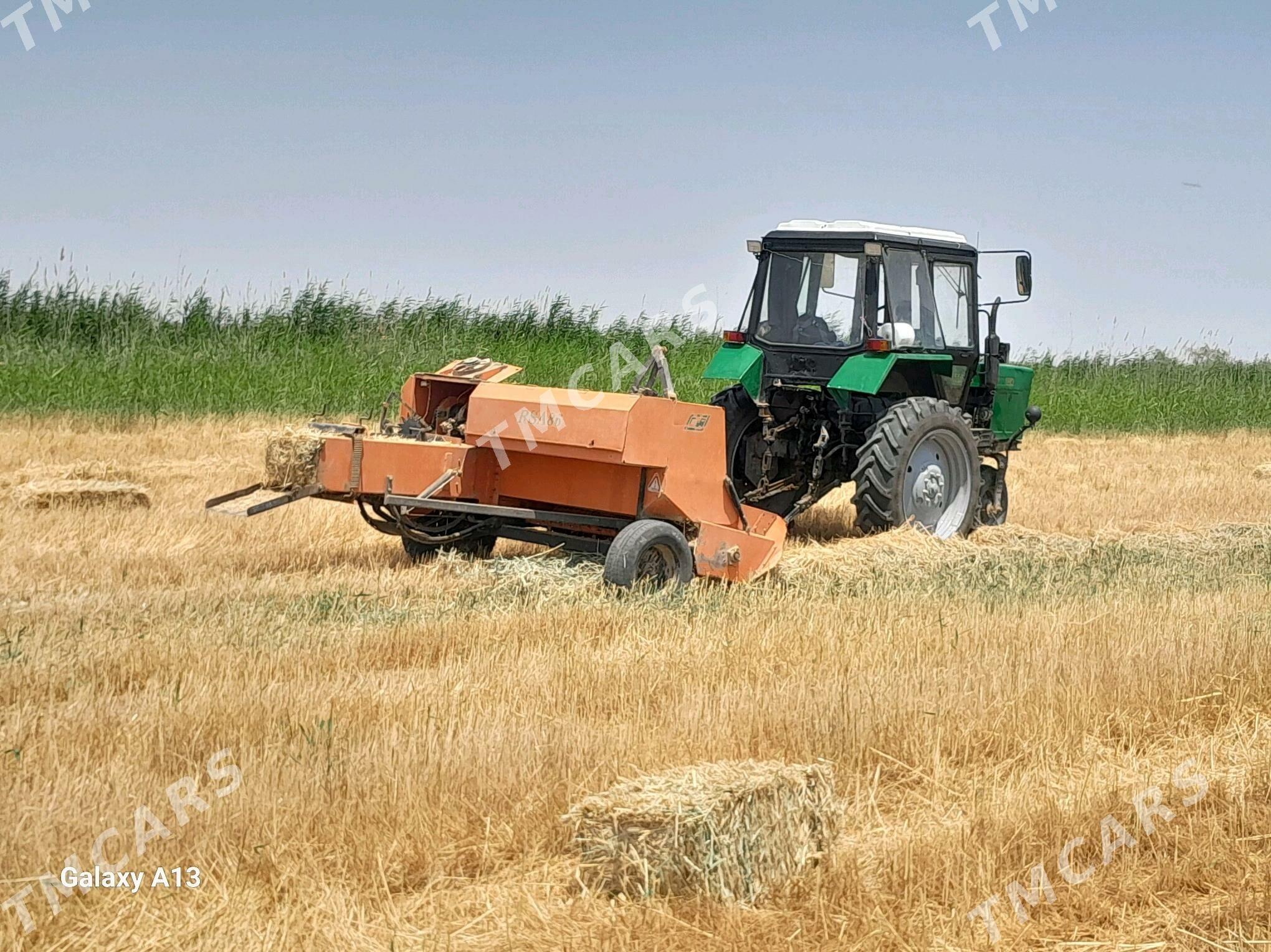 MTZ 82 2000 - 80 000 TMT - Tejen - img 6