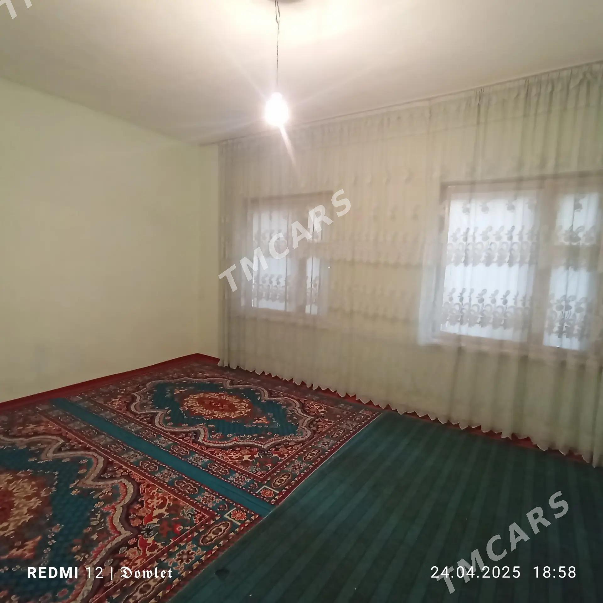 Satlyk Jaý - Kerki - img 2