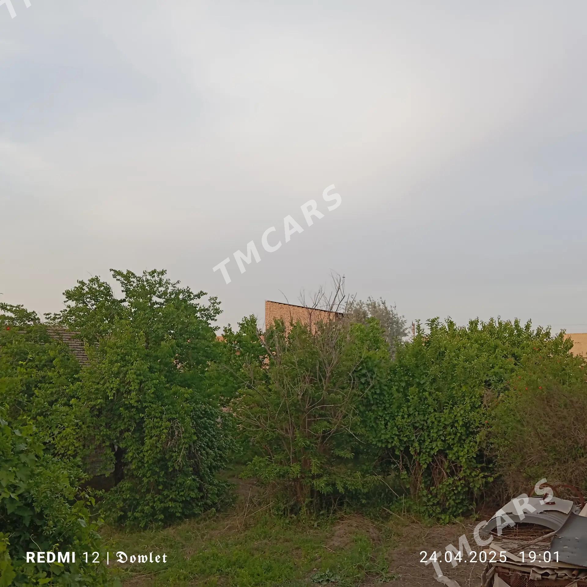 Satlyk Jaý - Kerki - img 3
