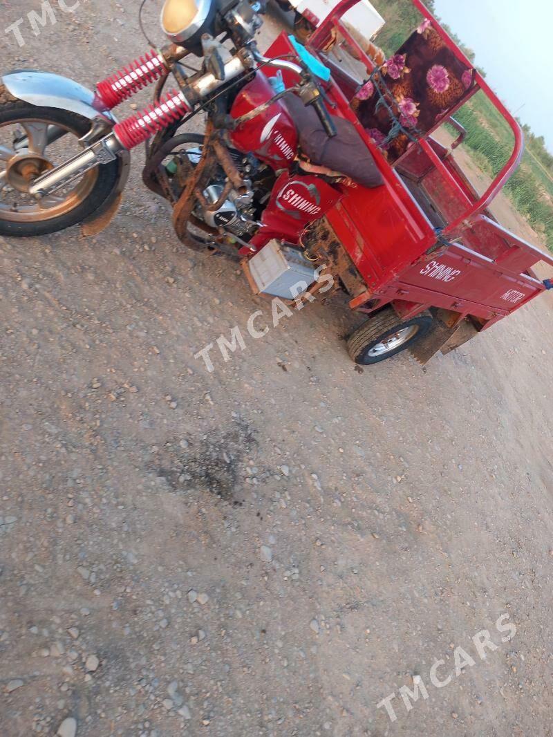 Fekon FK200-14G 2014 - 15 000 TMT - Серахс - img 3