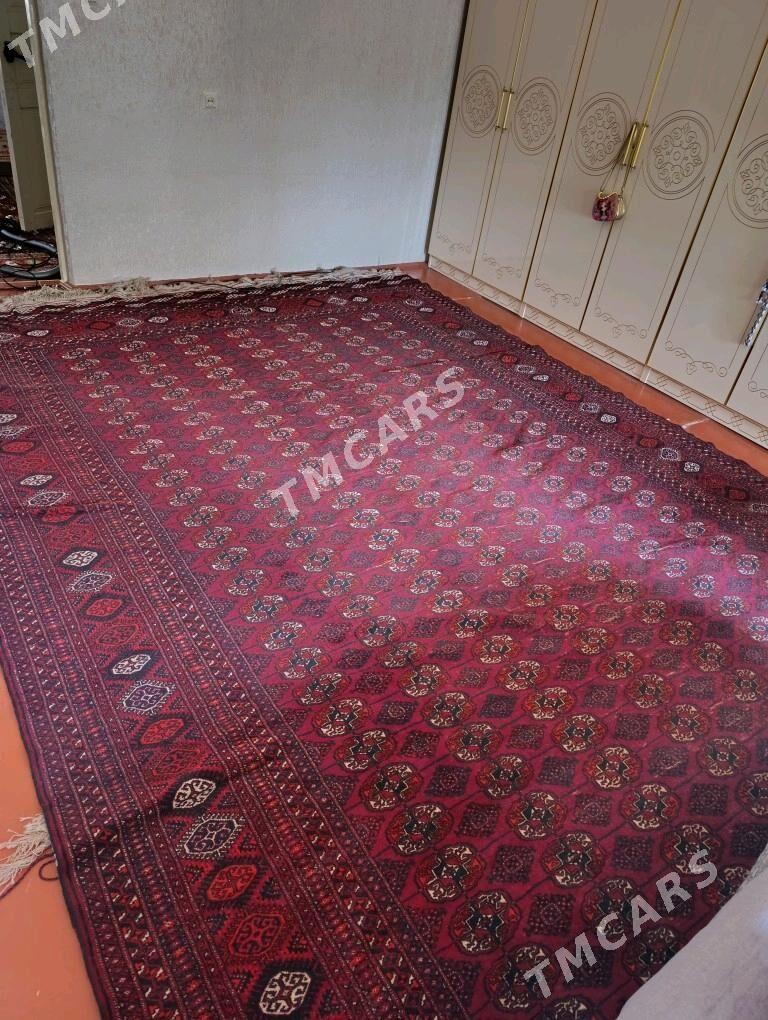 el haly - Garadamak Şor - img 2