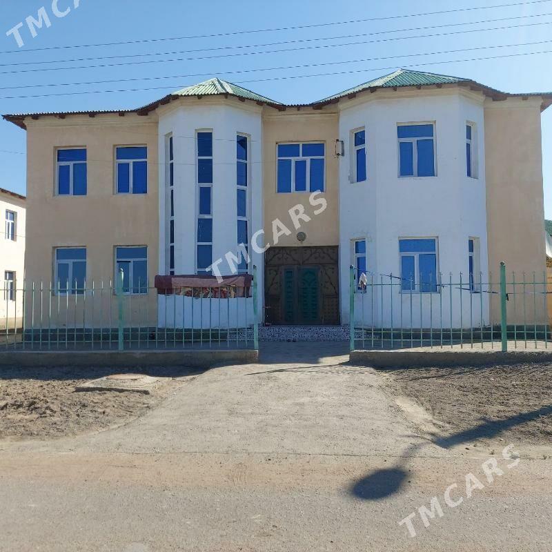 2 gat Kotej jay - Дашогуз - img 3