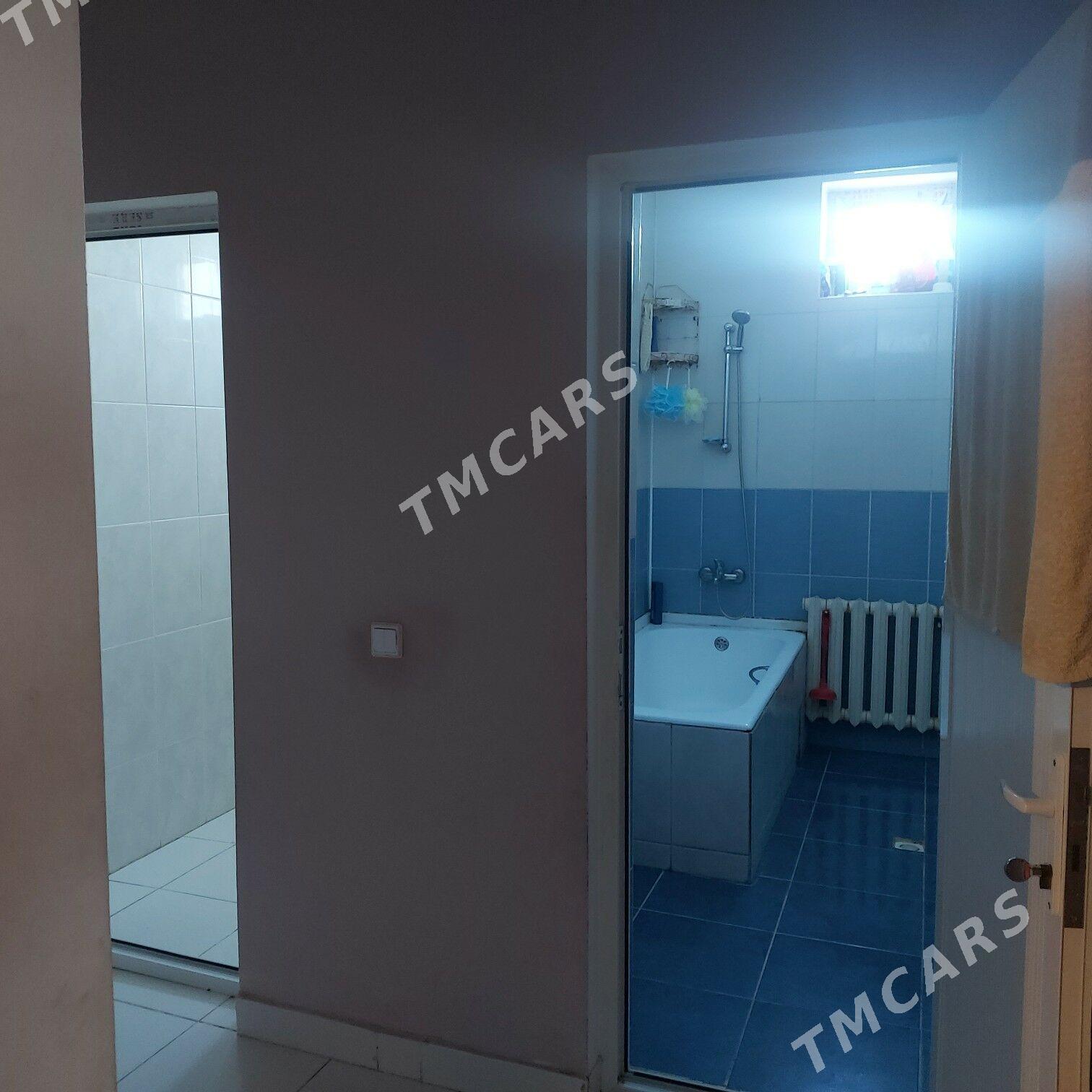 2 gat Kotej jay - Дашогуз - img 4