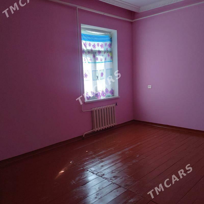 2 gat Kotej jay - Дашогуз - img 7