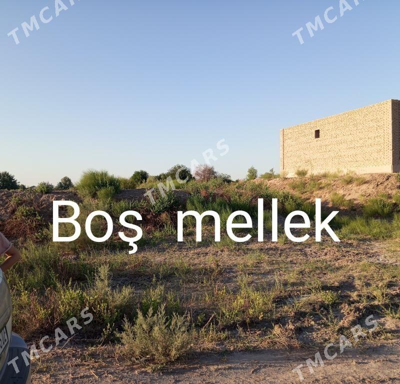 Jay Bayramhan koçesi - Daşoguz - img 2