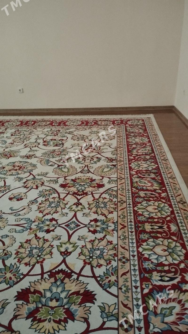 haly - Aşgabat - img 2