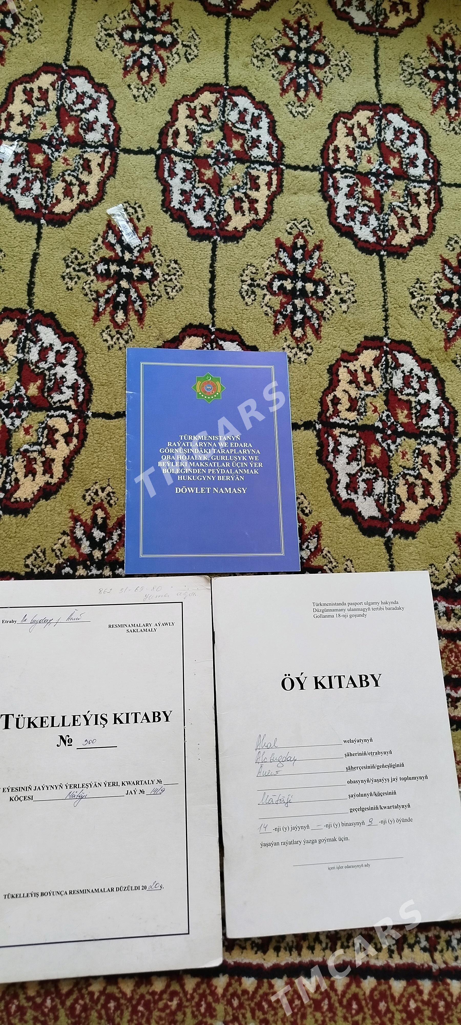 Änew plan jay baha dusdi - Ak bugdaý etraby - img 8